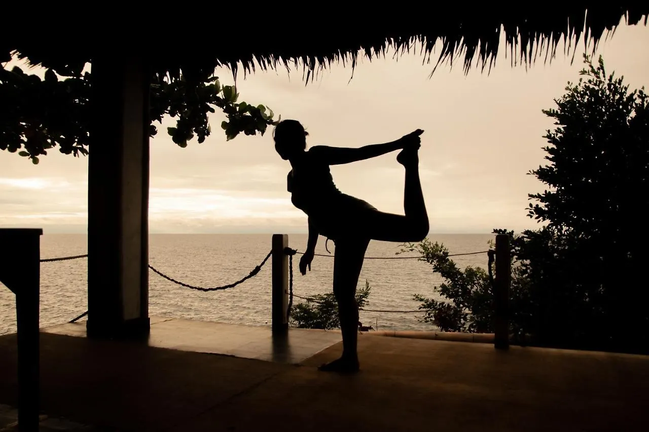 Almira Diving Resort- Panglao 0*,